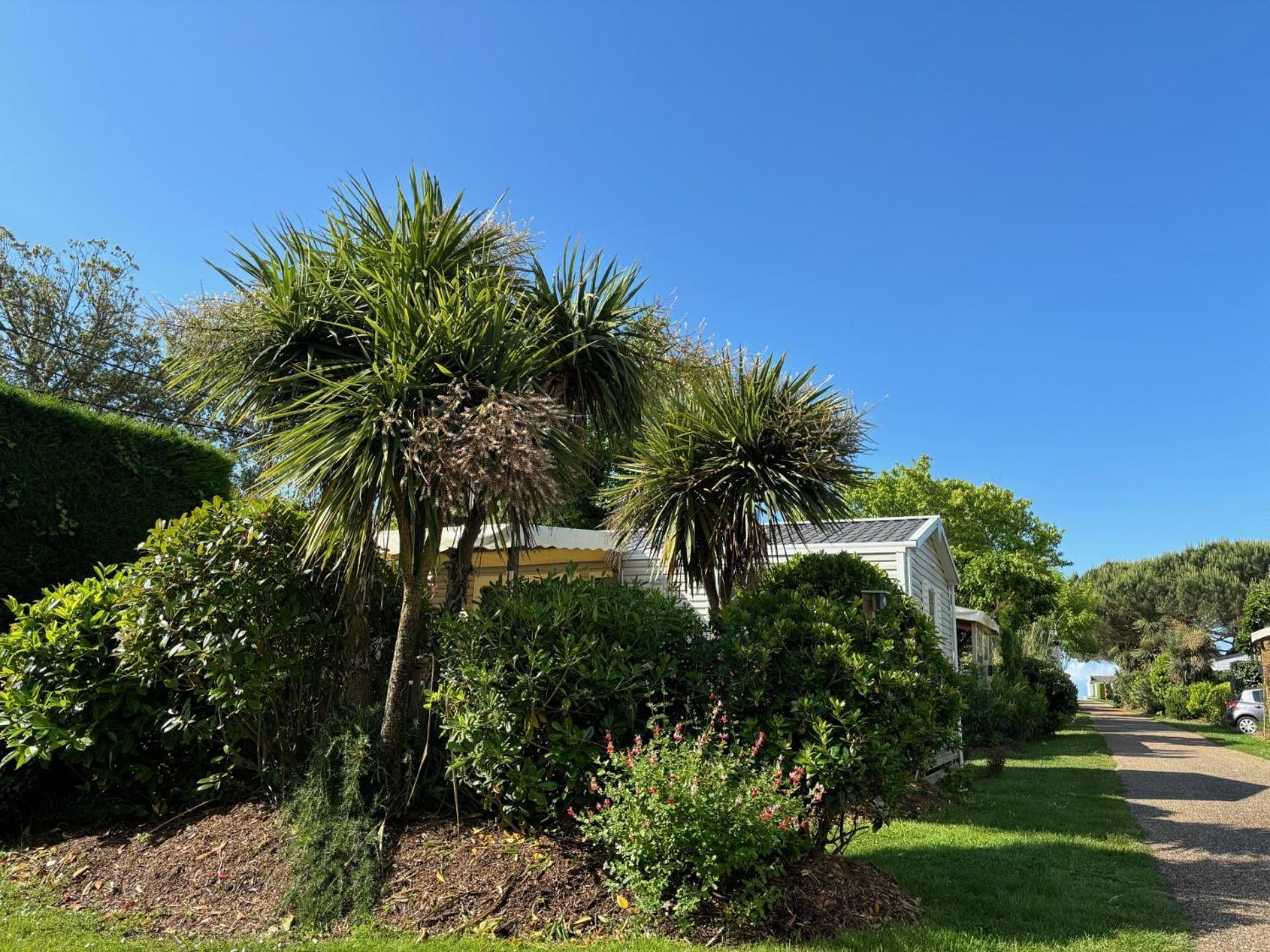 Tahiti Village La Grande Cote Campsite